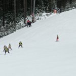 phoca_thumb_m_lye 2.den  83 Fotogalerie